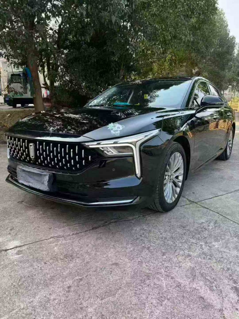 新余24年奔腾B702