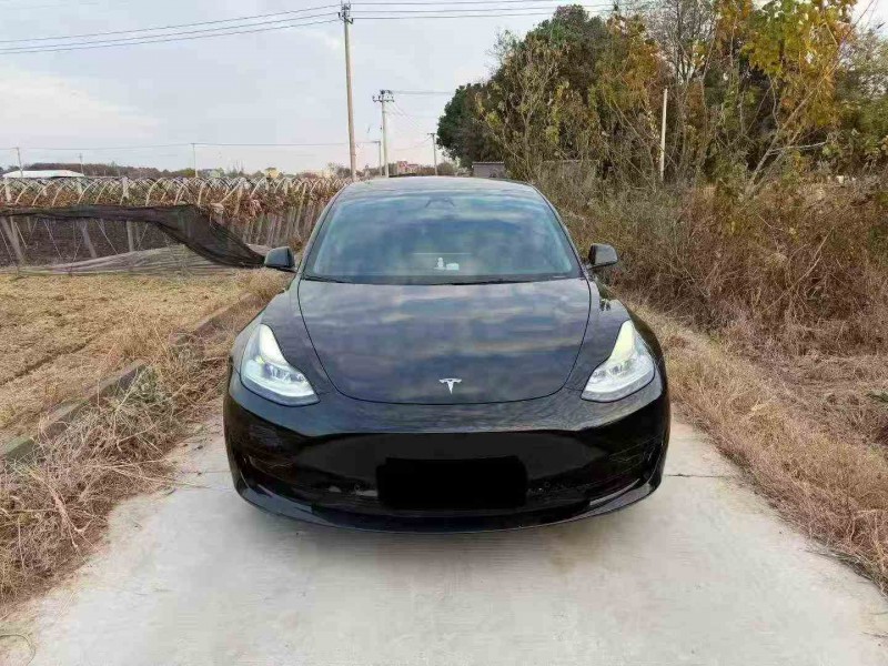 湖州23年特斯拉MODEL 31