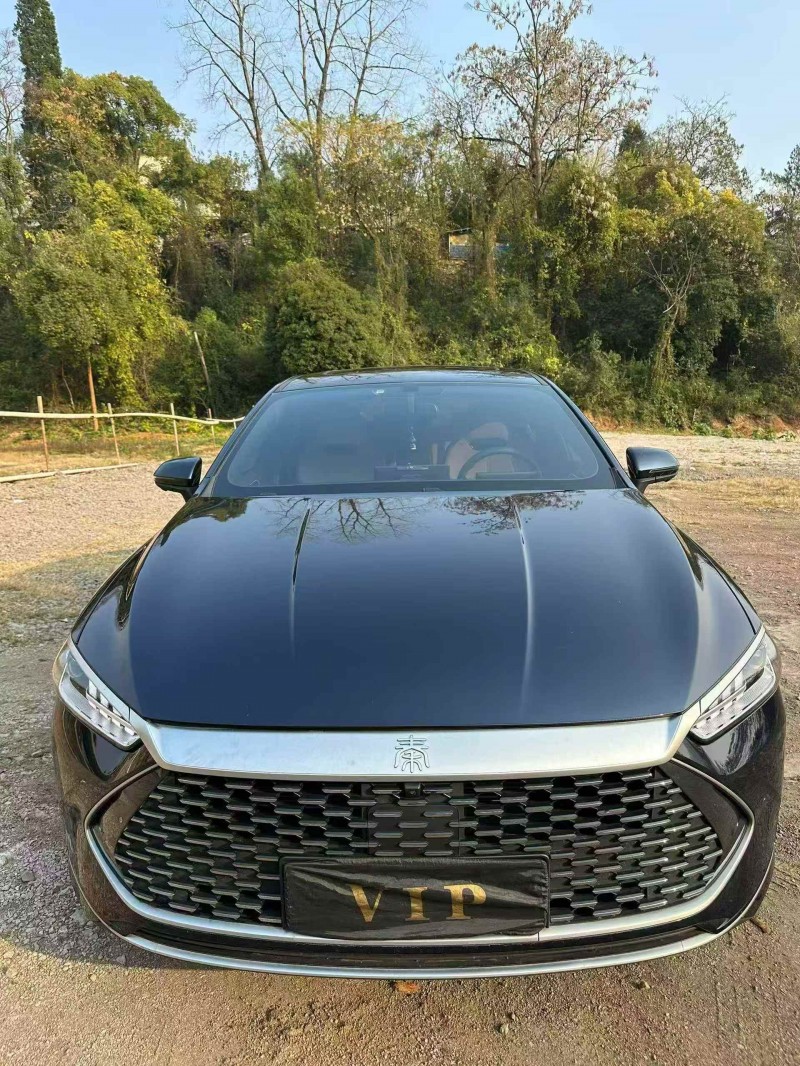 十堰24年比亚迪秦1