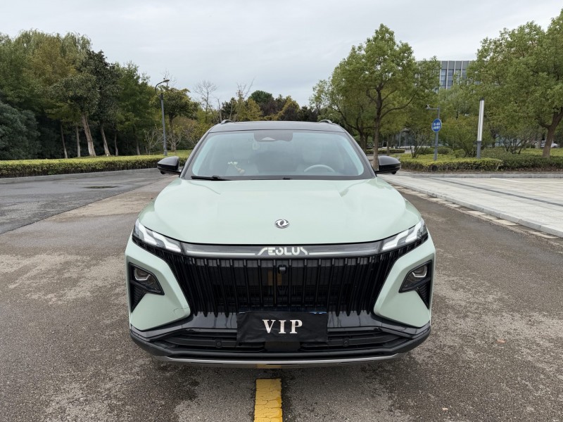 盐城22年东风风神1