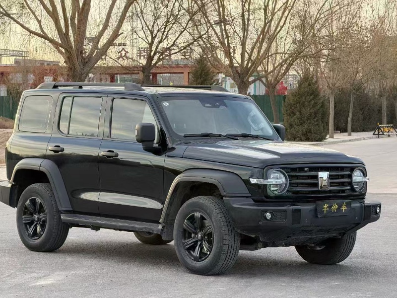 中卫23年长城汽车坦克2