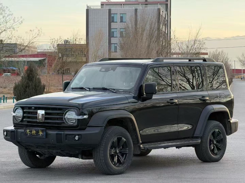 中卫23年长城汽车坦克3