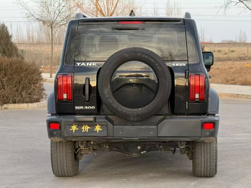 中卫23年长城汽车坦克9