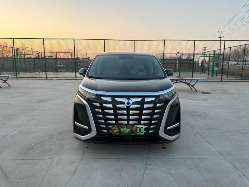 徐州24年腾势D91