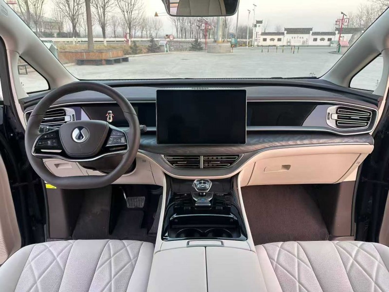 徐州24年腾势D94