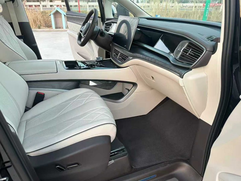 徐州24年腾势D95