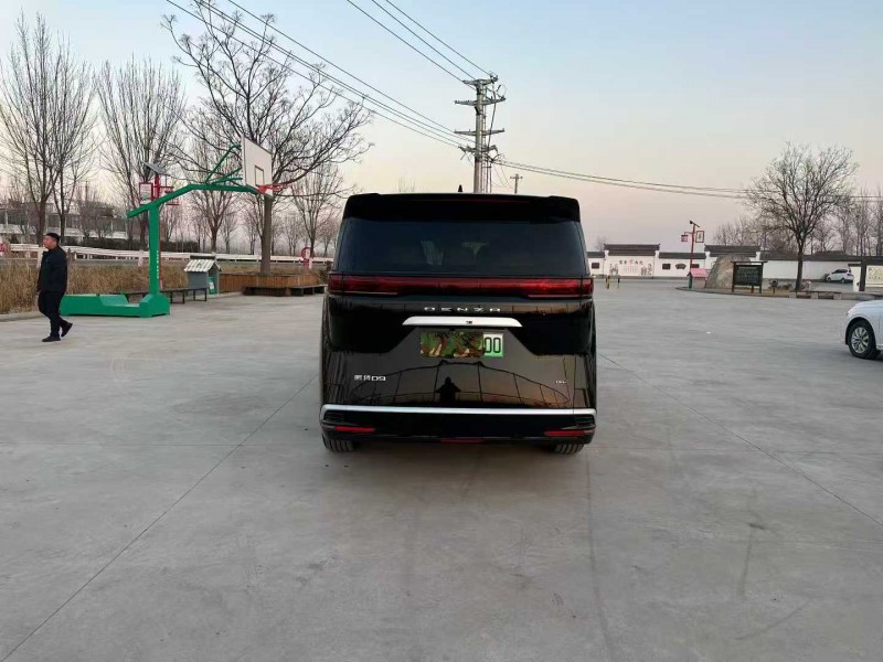 徐州24年腾势D98