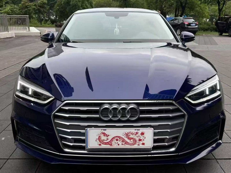 佛山20年奥迪A51