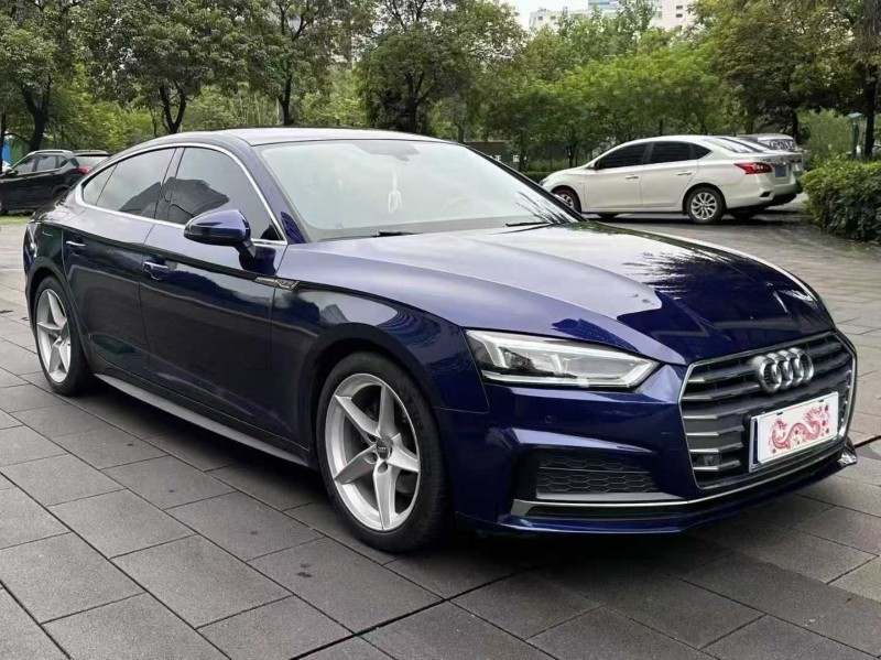 佛山20年奥迪A52