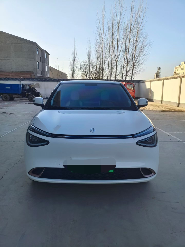 邯郸25年东风纳米1