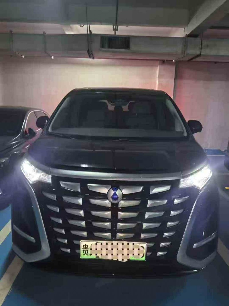 安顺23年腾势D91