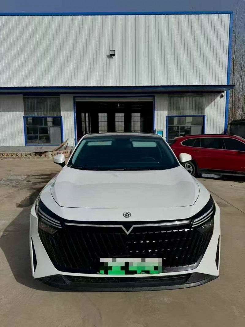 菏泽24年启辰大V1