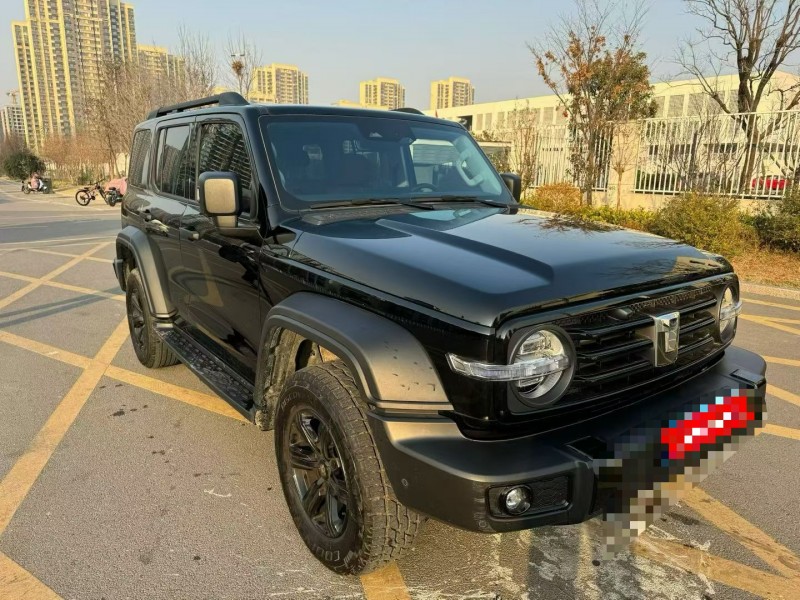 济宁25年长城汽车坦克2