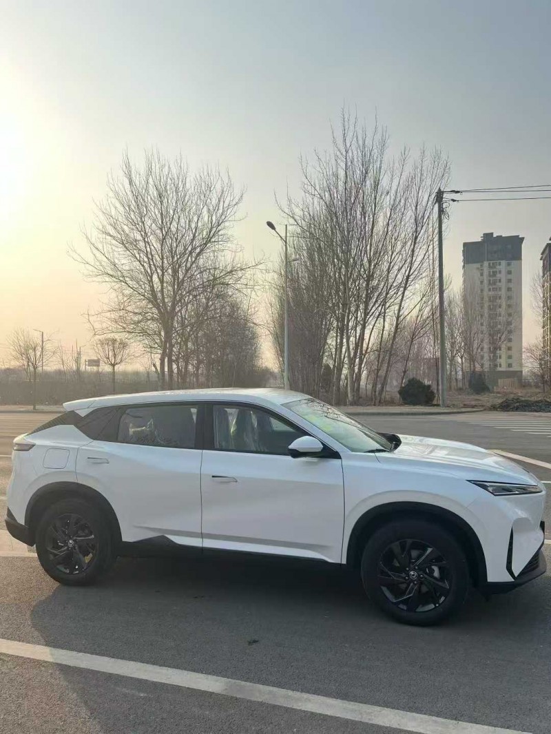 邯郸25年东风风神3