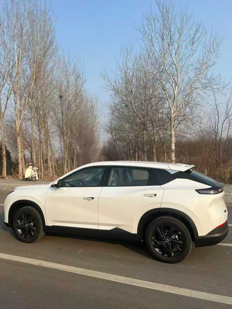 邯郸25年东风风神5