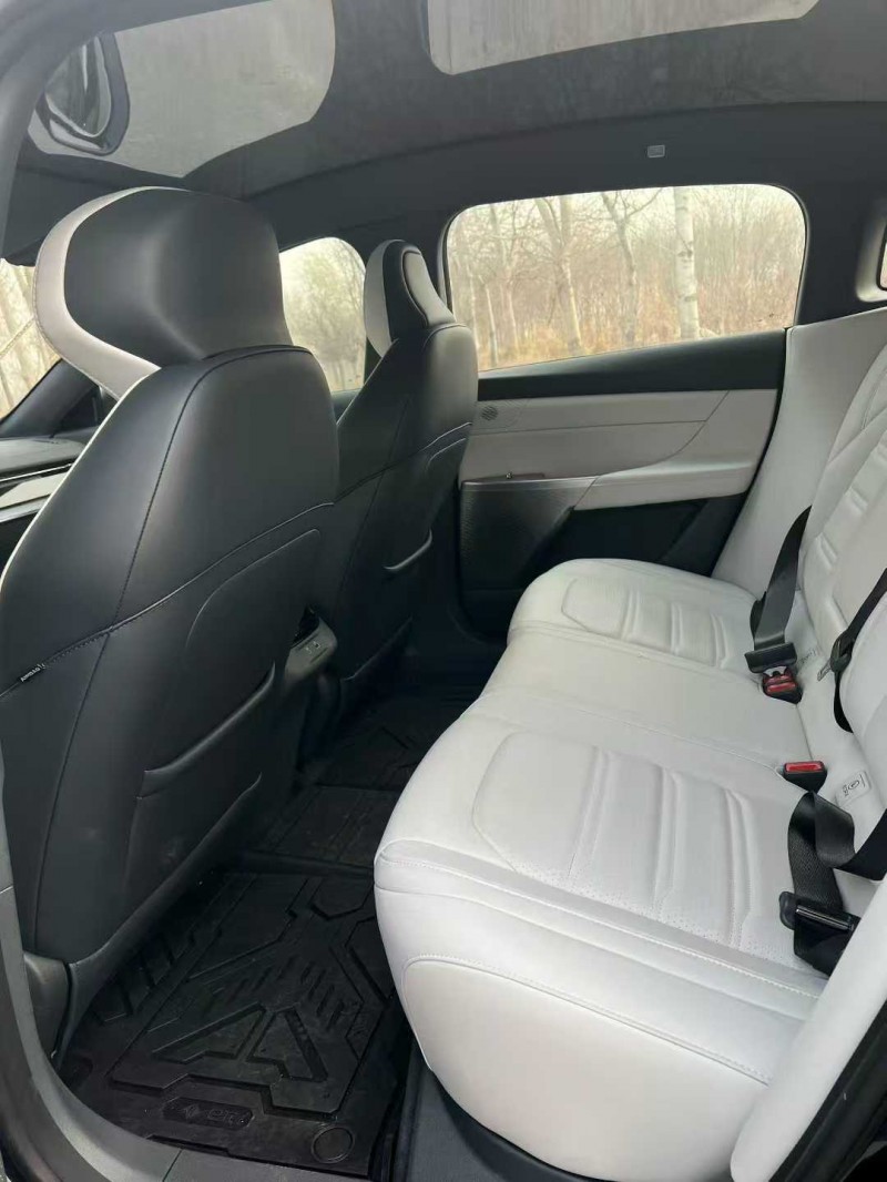 邯郸25年东风奕派9