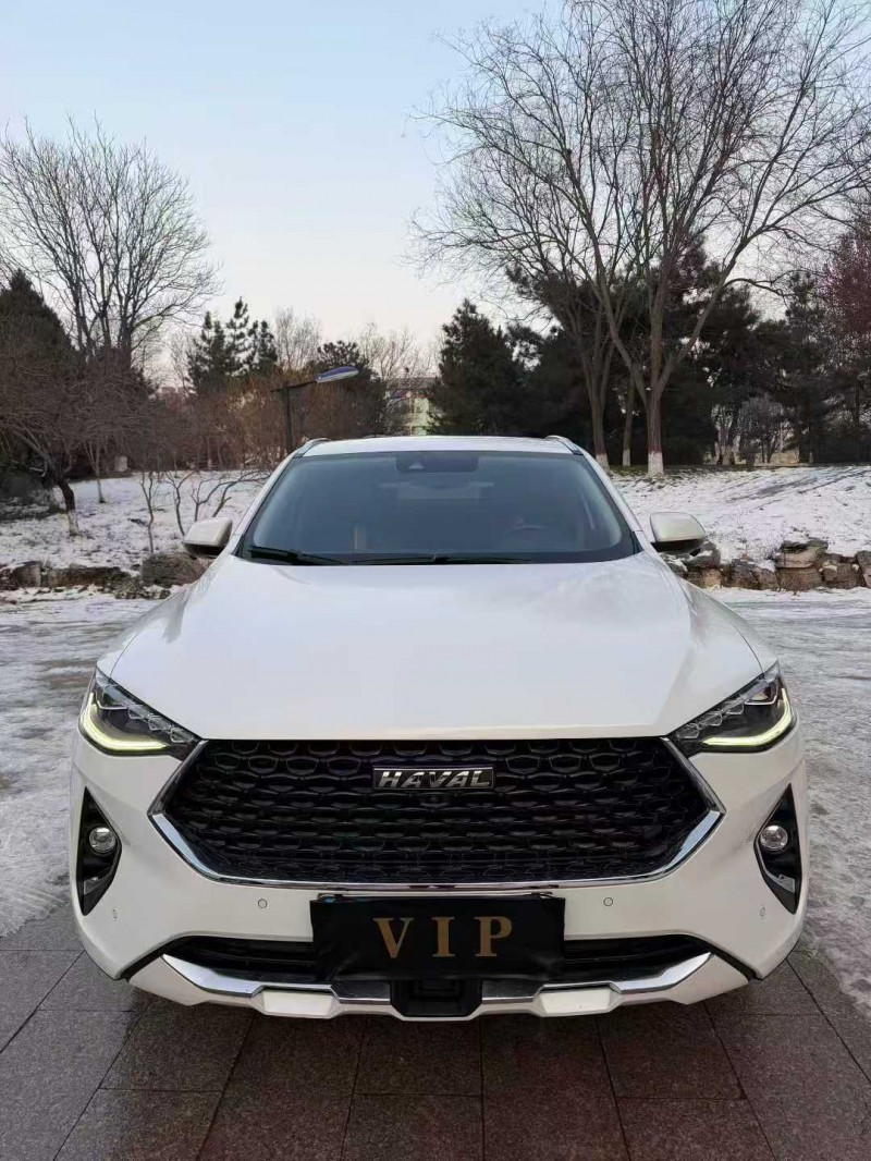 邢台19年哈弗F7x1