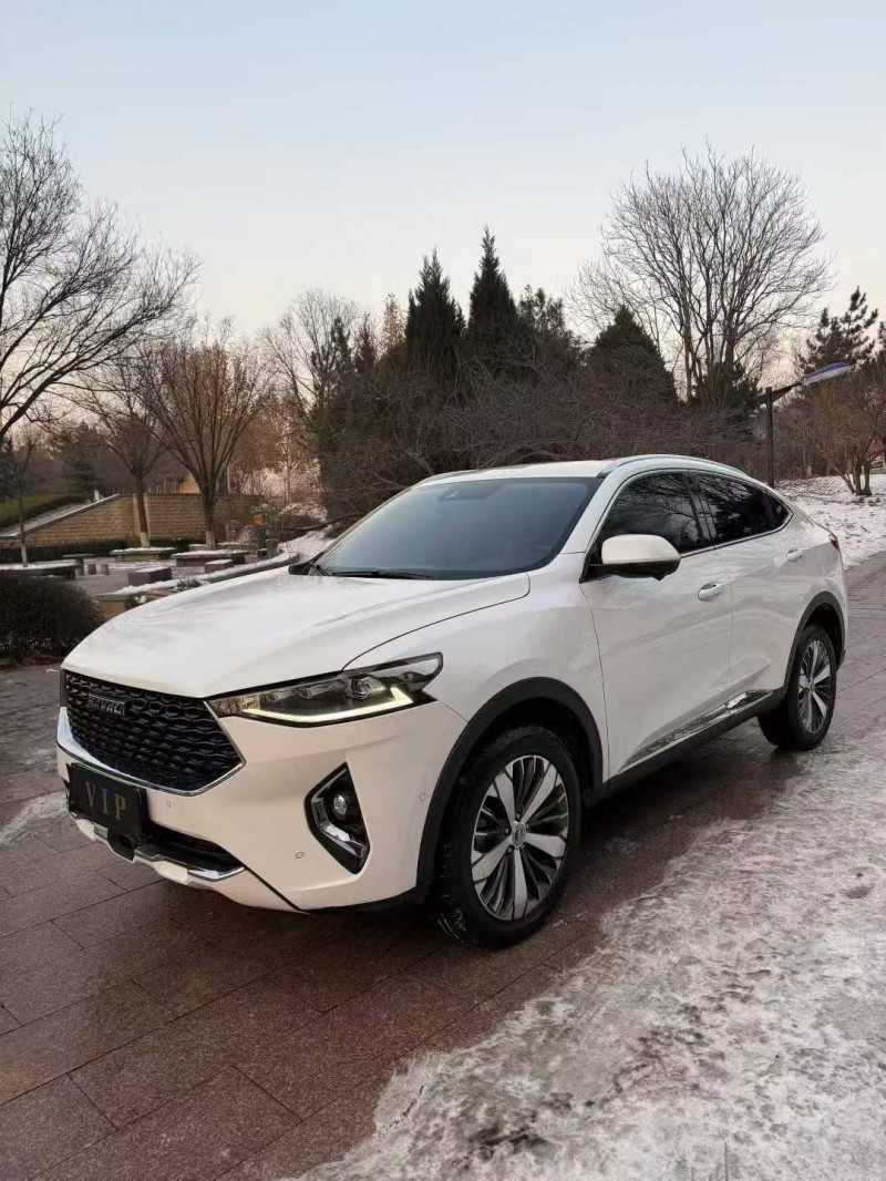 邢台19年哈弗F7x3