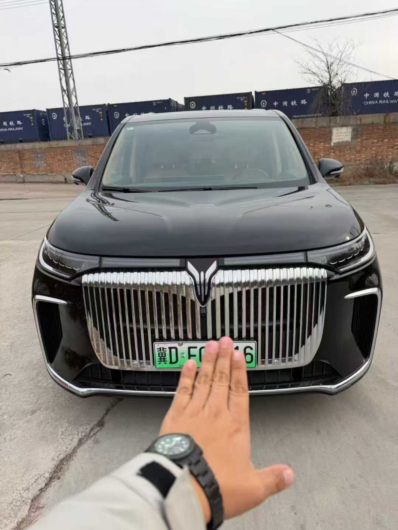 邢台25年岚图汽车梦想家1