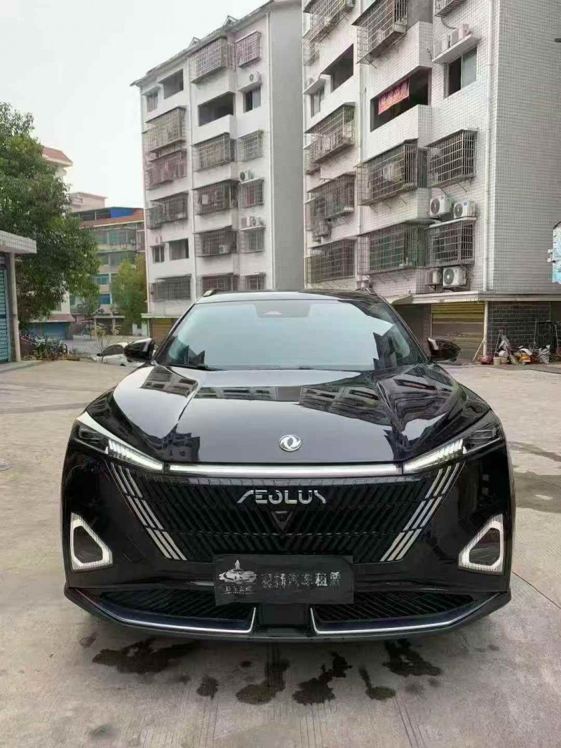 岳阳24年东风风神1