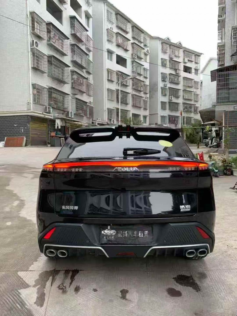 岳阳24年东风风神9