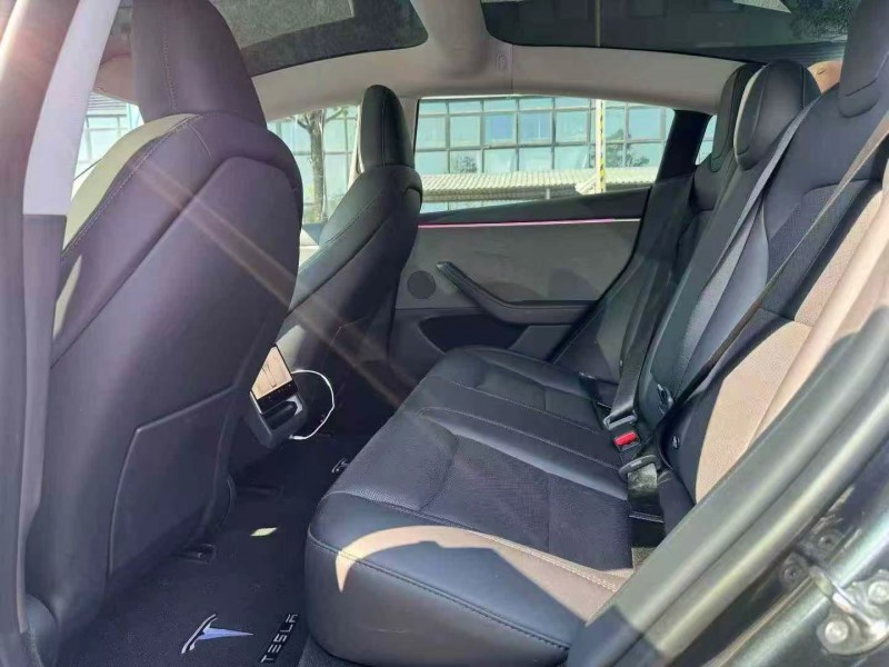 东莞24年特斯拉MODEL 35