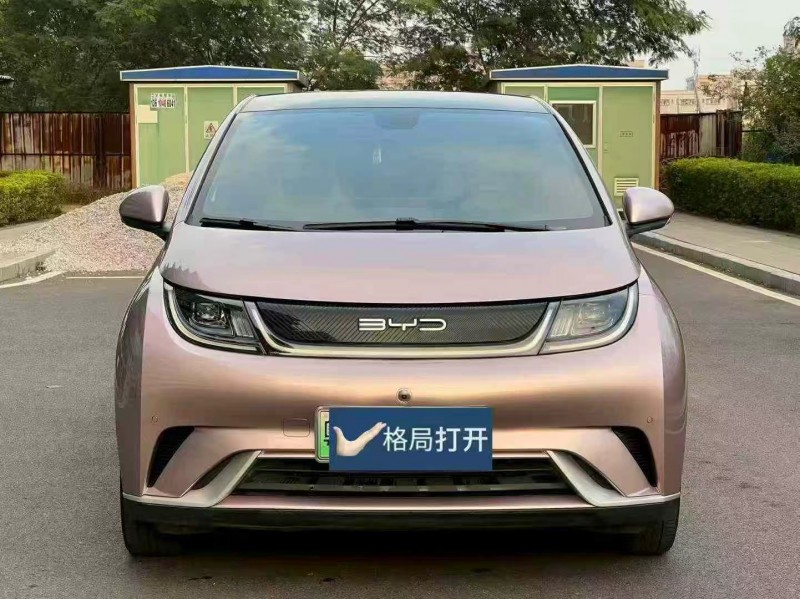 东莞24年比亚迪海豚1