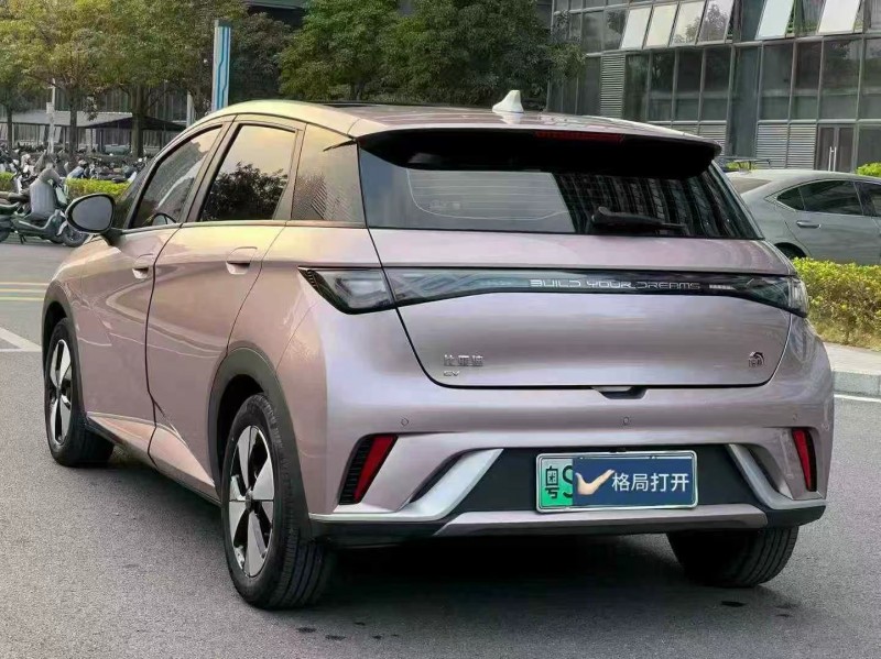 东莞24年比亚迪海豚7