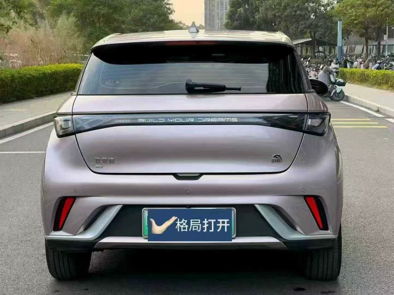 东莞24年比亚迪海豚9