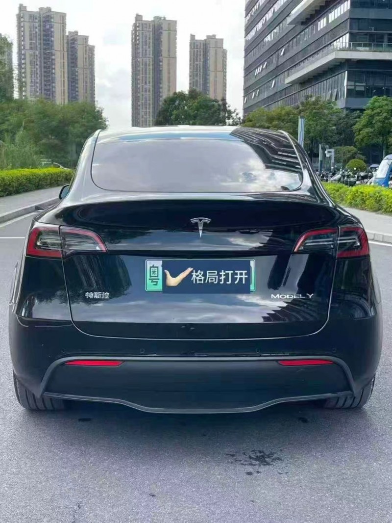 东莞24年特斯拉MODEL Y9