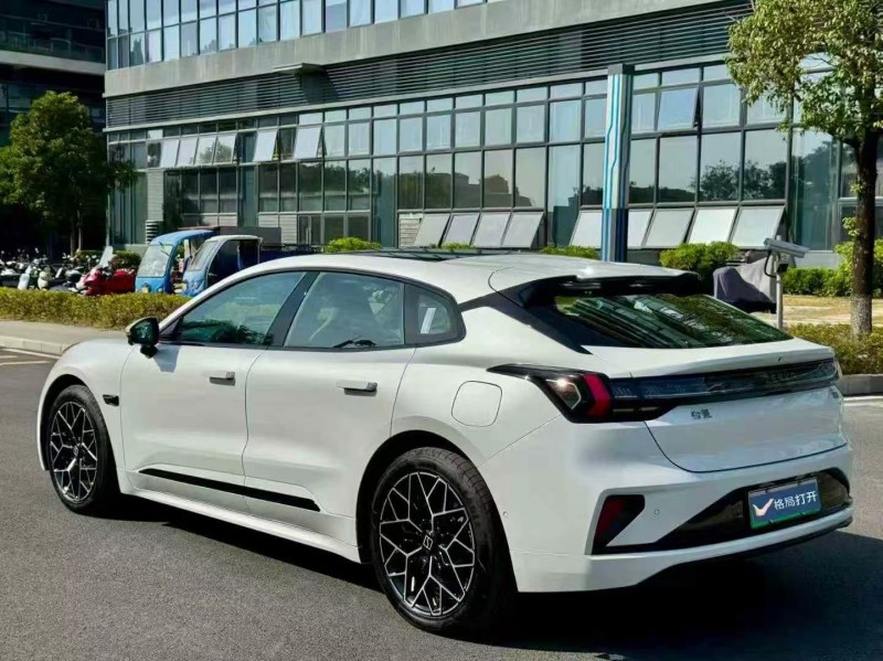 东莞24年极氪汽车0018