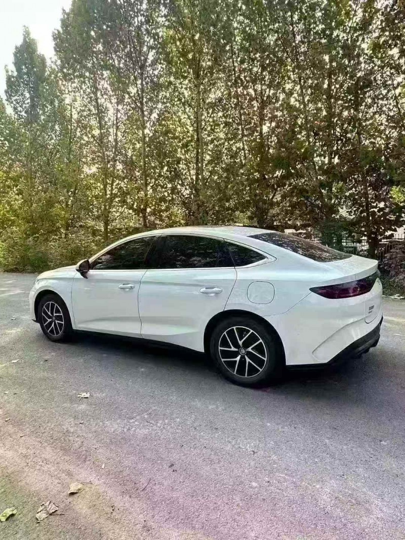 东营25年比亚迪秦7