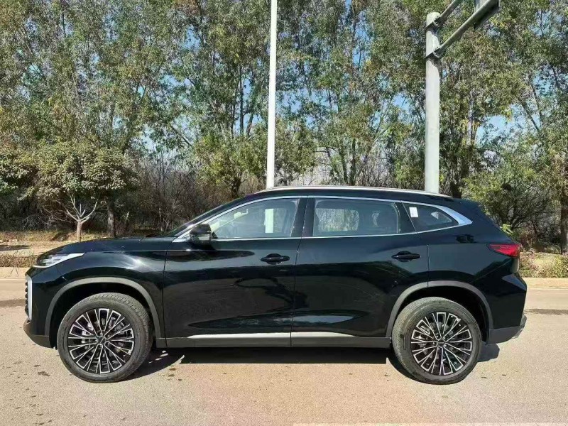 淄博25年奇瑞星途9