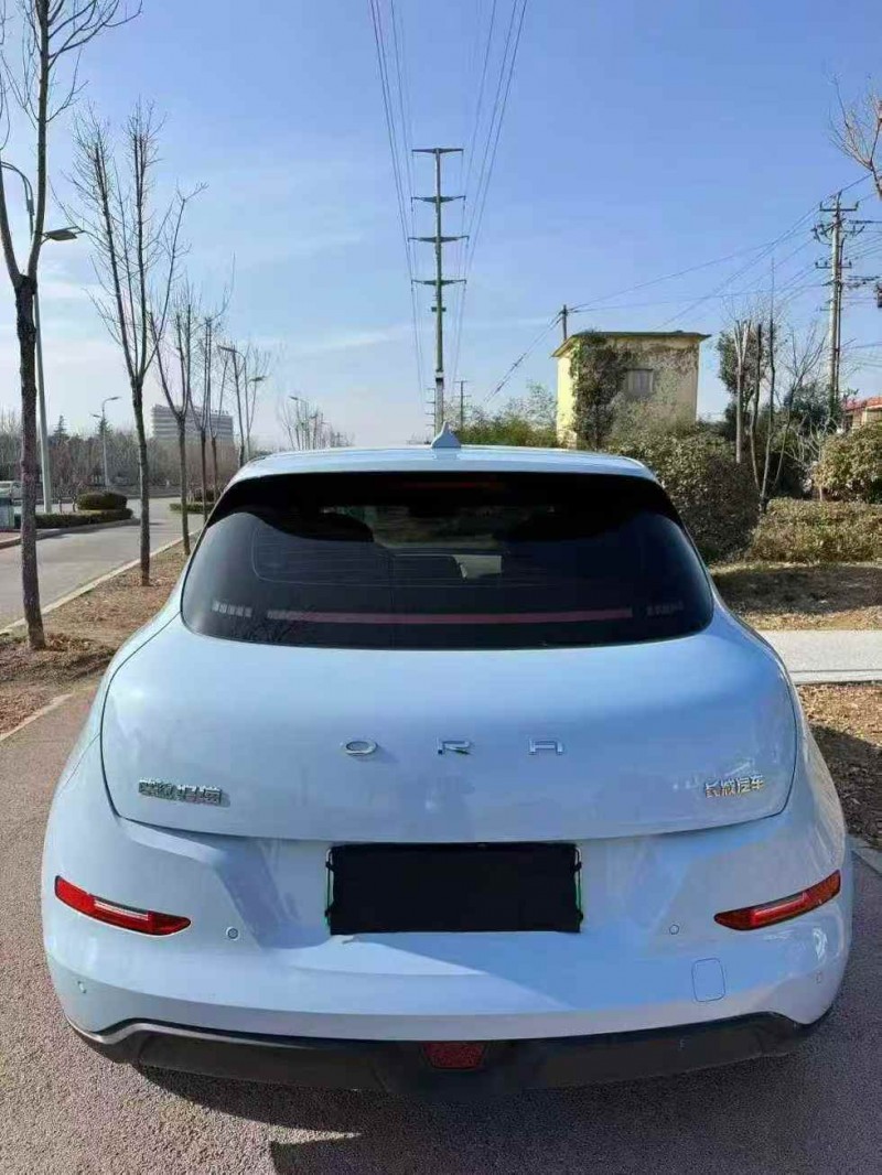 东营25年长城汽车欧拉3