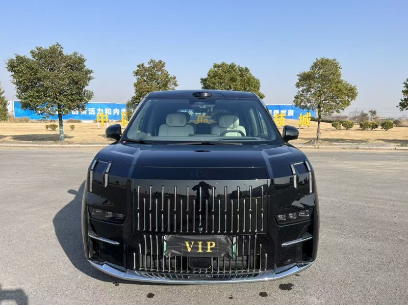 盐城24年极氪汽车0091