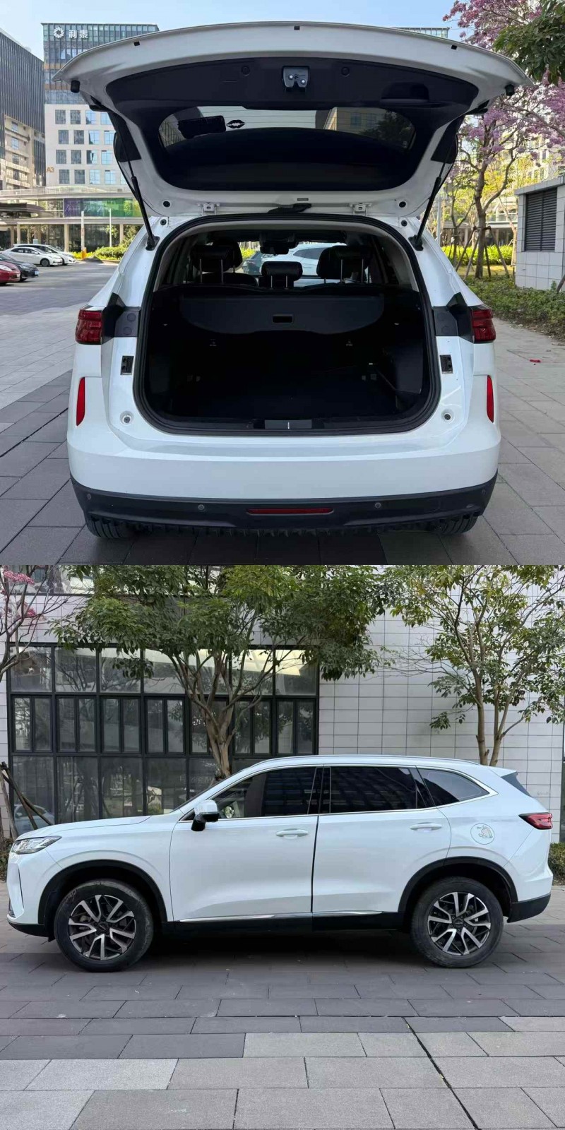 佛山23年哈弗H66