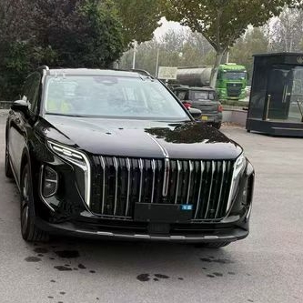 安阳25年红旗HS71