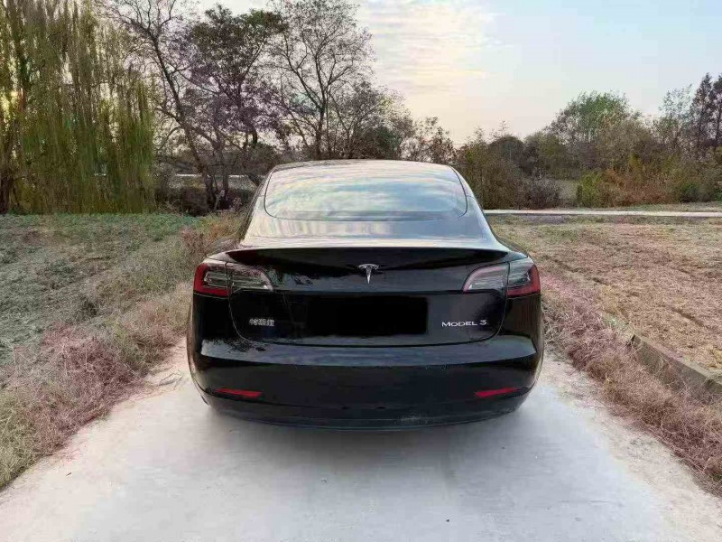 台州23年特斯拉MODEL 38