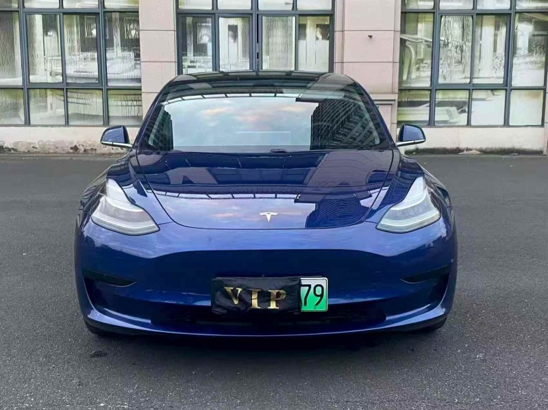 莆田20年特斯拉MODEL 31
