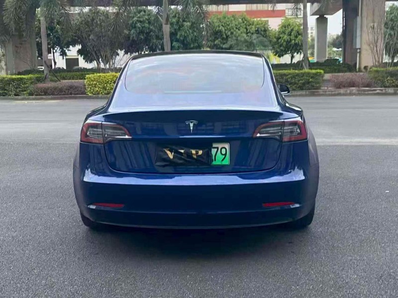 莆田20年特斯拉MODEL 39
