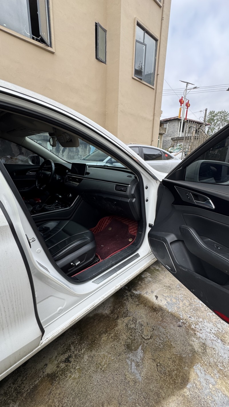 恩施20年红旗H56