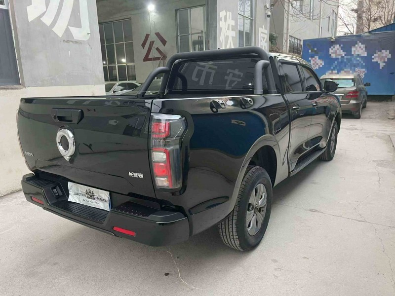 潍坊25年长城汽车炮 皮卡7