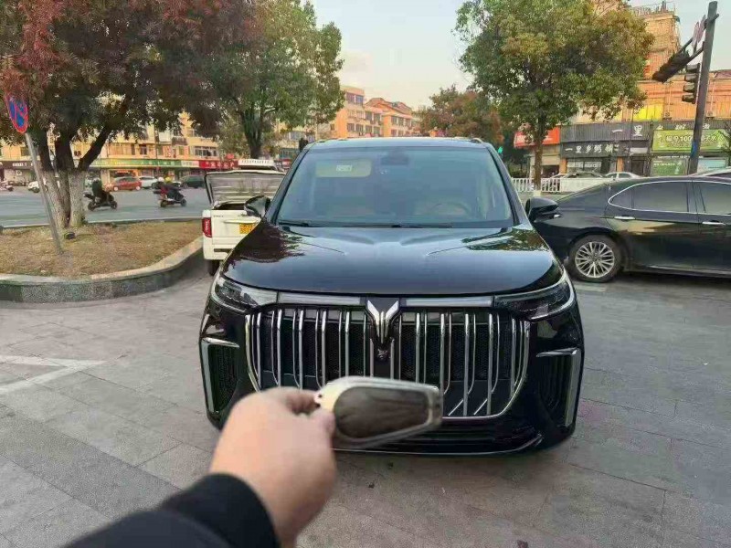 湖州23年岚图汽车梦想家1