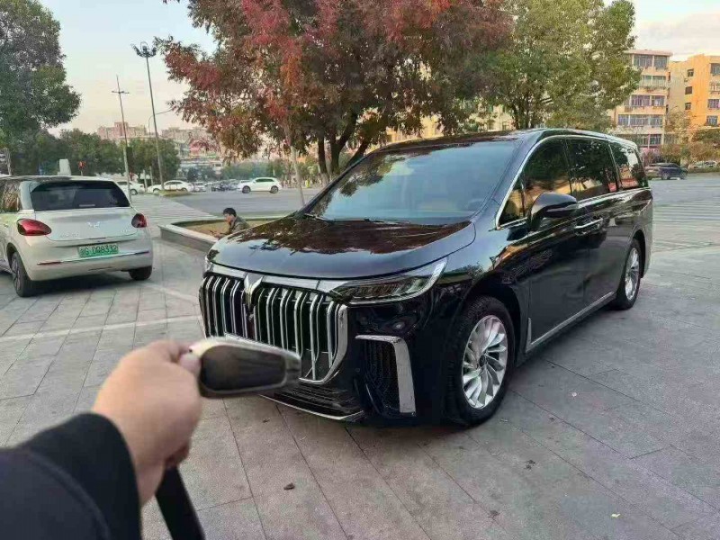 湖州23年岚图汽车梦想家3