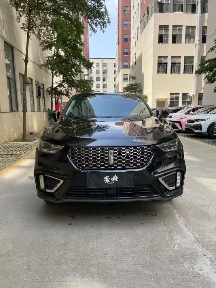 西宁21年长城汽车WEY1