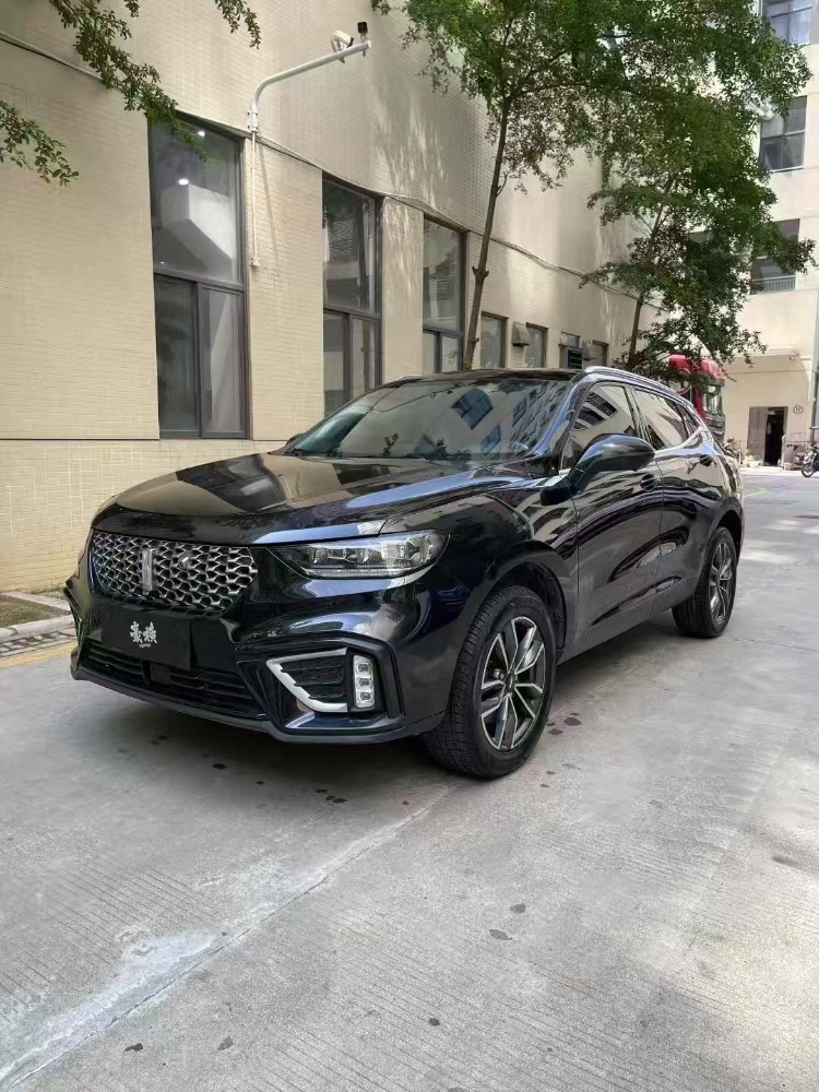 西宁21年长城汽车WEY3