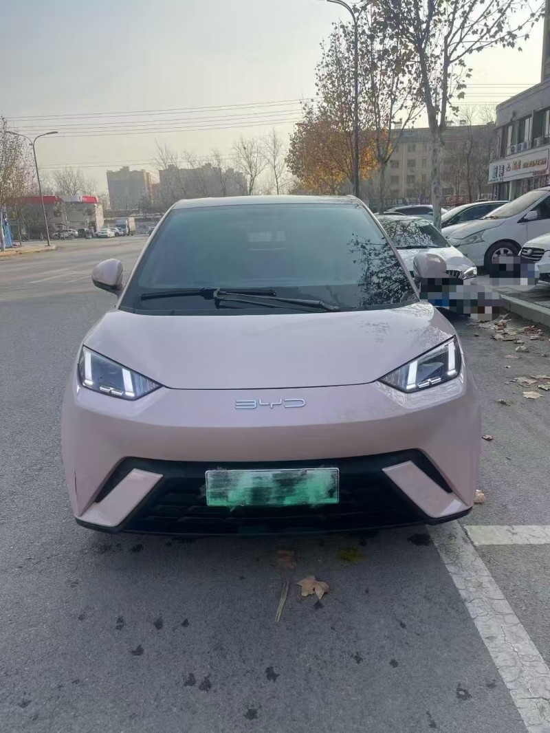 菏泽23年比亚迪海鸥1