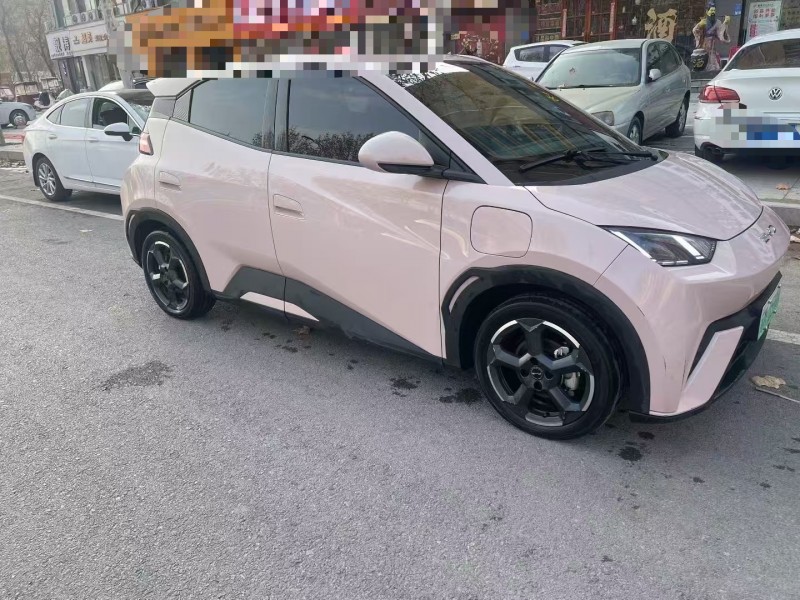 菏泽23年比亚迪海鸥2