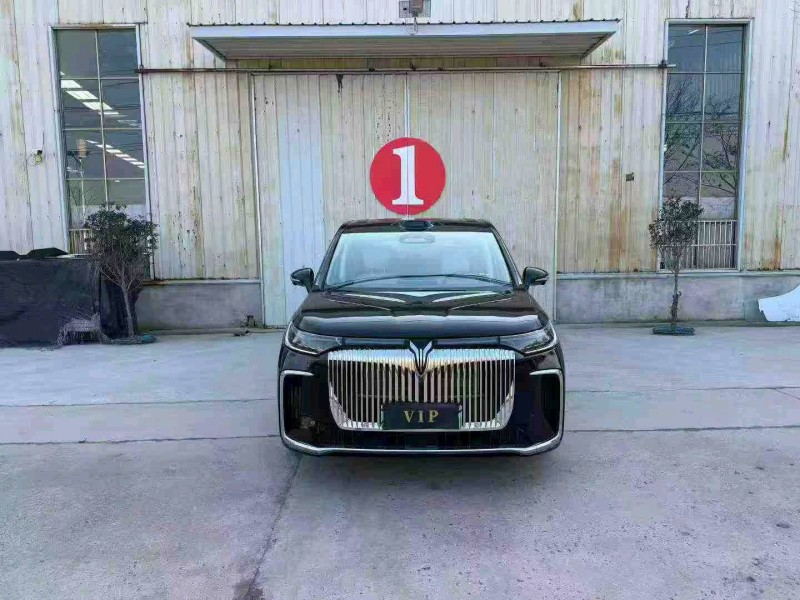 徐州25年岚图汽车梦想家1