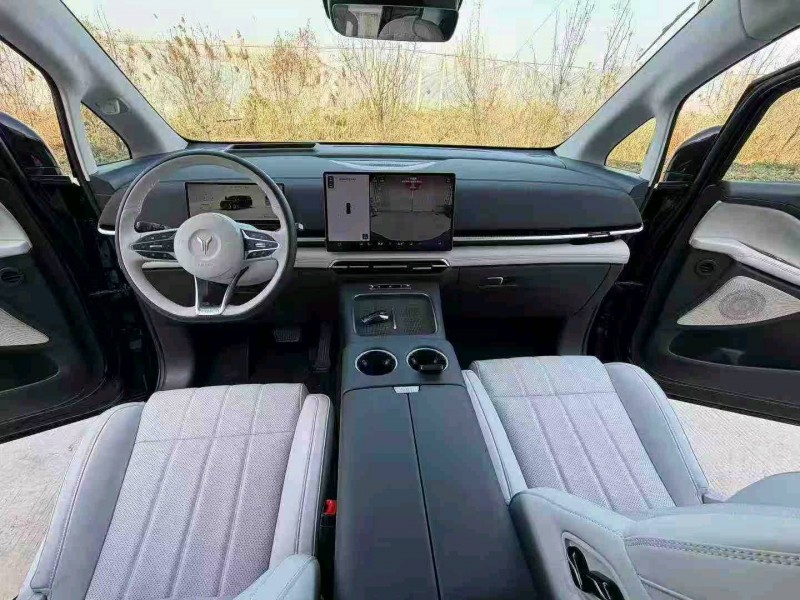 徐州25年岚图汽车梦想家9